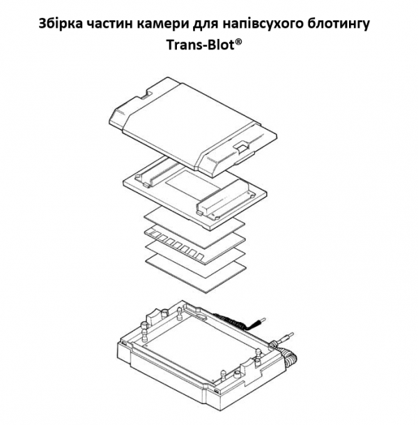 Збірка частин камери для напівсухого блотингу Trans-Blot®