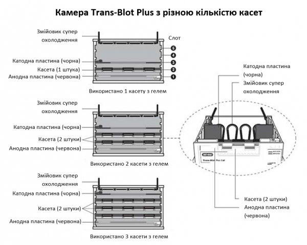 Камера Trans-Blot Plus з різною кількістю касет