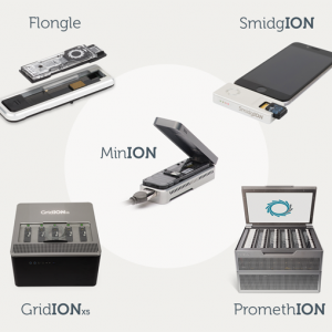 Секвенатори Oxford Nanopore